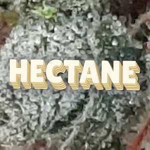 Hectane Cannabis Strain