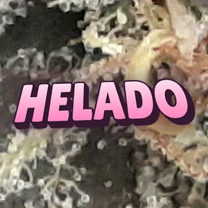 Helado Cannabis Strain