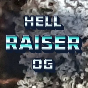 Hell Raiser OG Cannabis Strain
