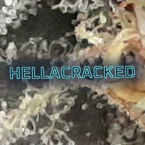 Hellacracked Cannabis Strain