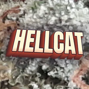 Hellcat Cannabis Strain