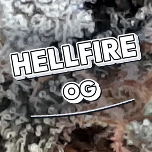 Hellfire OG Cannabis Strain