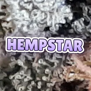 Hempstar Cannabis Strain