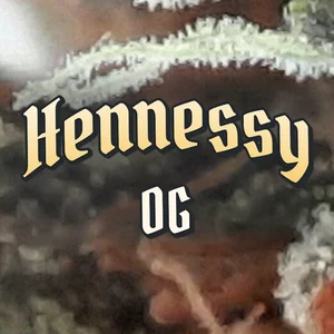 Hennessy OG Cannabis Strain