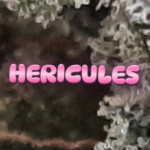 Hericules Cannabis Strain