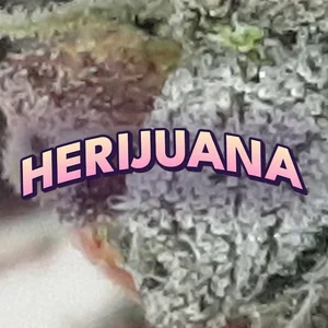 Herijuana Cannabis Strain