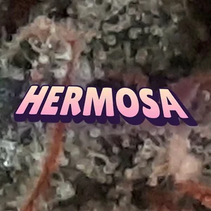 Hermosa Cannabis Strain