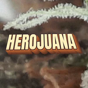 Herojuana Cannabis Strain
