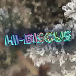 Hi-Biscus Cannabis Strain