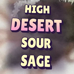 High Desert Sour Sage Cannabis Strain