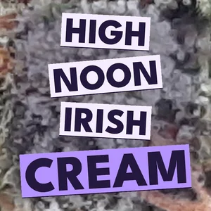 High Noon Irish Cream Cannabis Strain