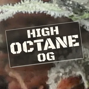 High Octane OG Cannabis Strain