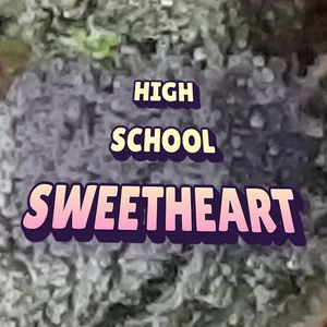 High School Sweetheart Cannabis Strain