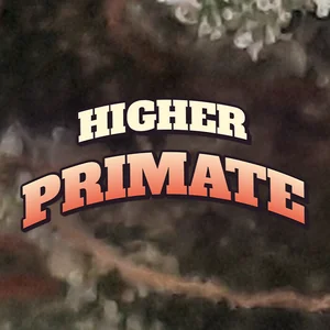 Higher Primate Cannabis Strain