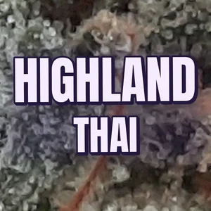 Highland Thai Cannabis Strain