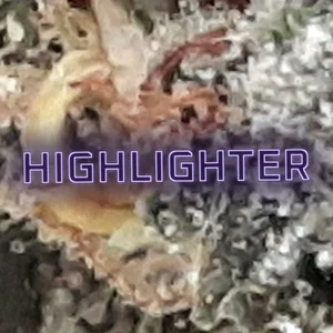 Highlighter Cannabis Strain
