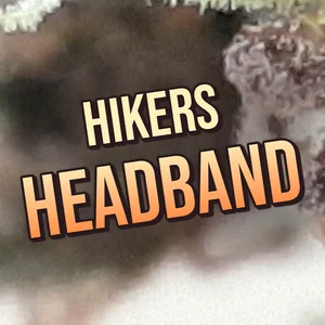 Hikers Headband Cannabis Strain