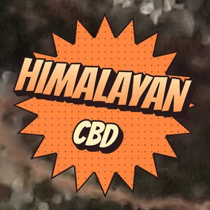 Himalayan CBD Cannabis Strain