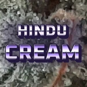 Hindu Cream Cannabis Strain