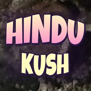 Hindu Kush Cannabis Strain