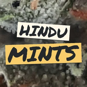 Hindu Mints Cannabis Strain