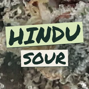 Hindu Sour Cannabis Strain