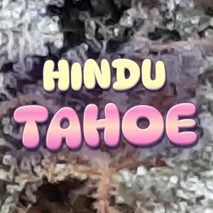 Hindu Tahoe Cannabis Strain