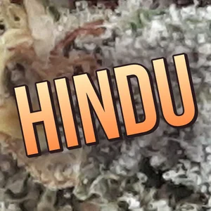 Hindu Cannabis Strain