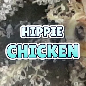 Hippie Chicken Cannabis Strain