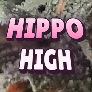 Hippo High Cannabis Strain