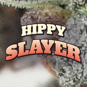 Hippy Slayer Cannabis Strain