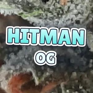 Hitman OG Cannabis Strain
