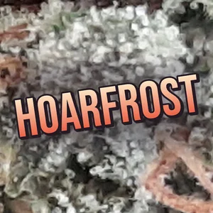 Hoarfrost Cannabis Strain