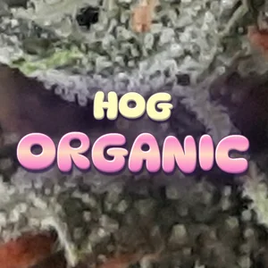 HOG Organic Cannabis Strain