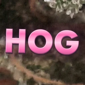 Hog Cannabis Strain