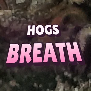 Hogs Breath Cannabis Strain