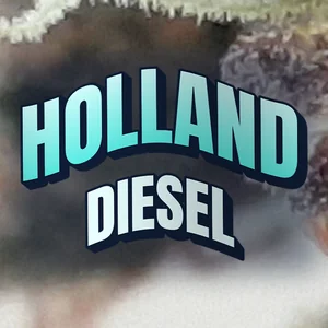 Holland Diesel Cannabis Strain