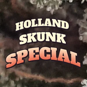 Holland Skunk Special Cannabis Strain