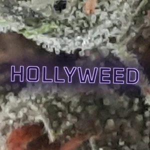 Hollyweed Cannabis Strain