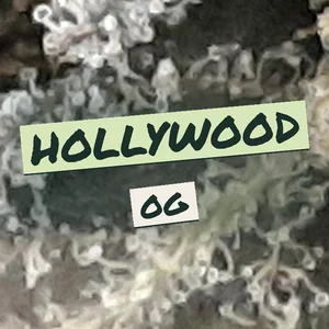 Hollywood OG Cannabis Strain