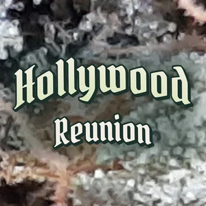 Hollywood Reunion Cannabis Strain