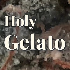 Holy Gelato Cannabis Strain