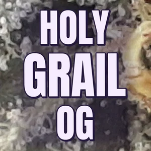Holy Grail OG Cannabis Strain