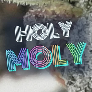 Holy Moly Cannabis Strain