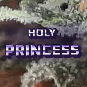 Holy Princess Cannabis Strain