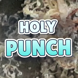 Holy Punch Cannabis Strain