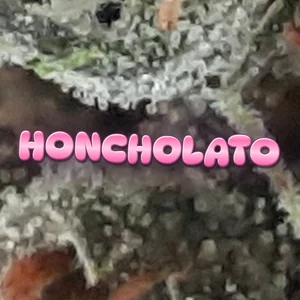 Honcholato Cannabis Strain