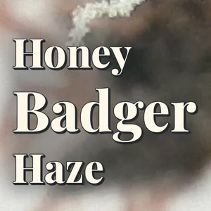 Honey Badger Haze Cannabis Strain