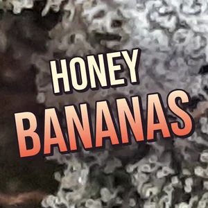 Honey Bananas Cannabis Strain