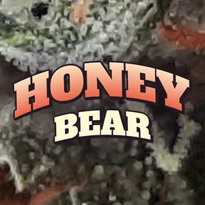 Honey Bear Cannabis Strain